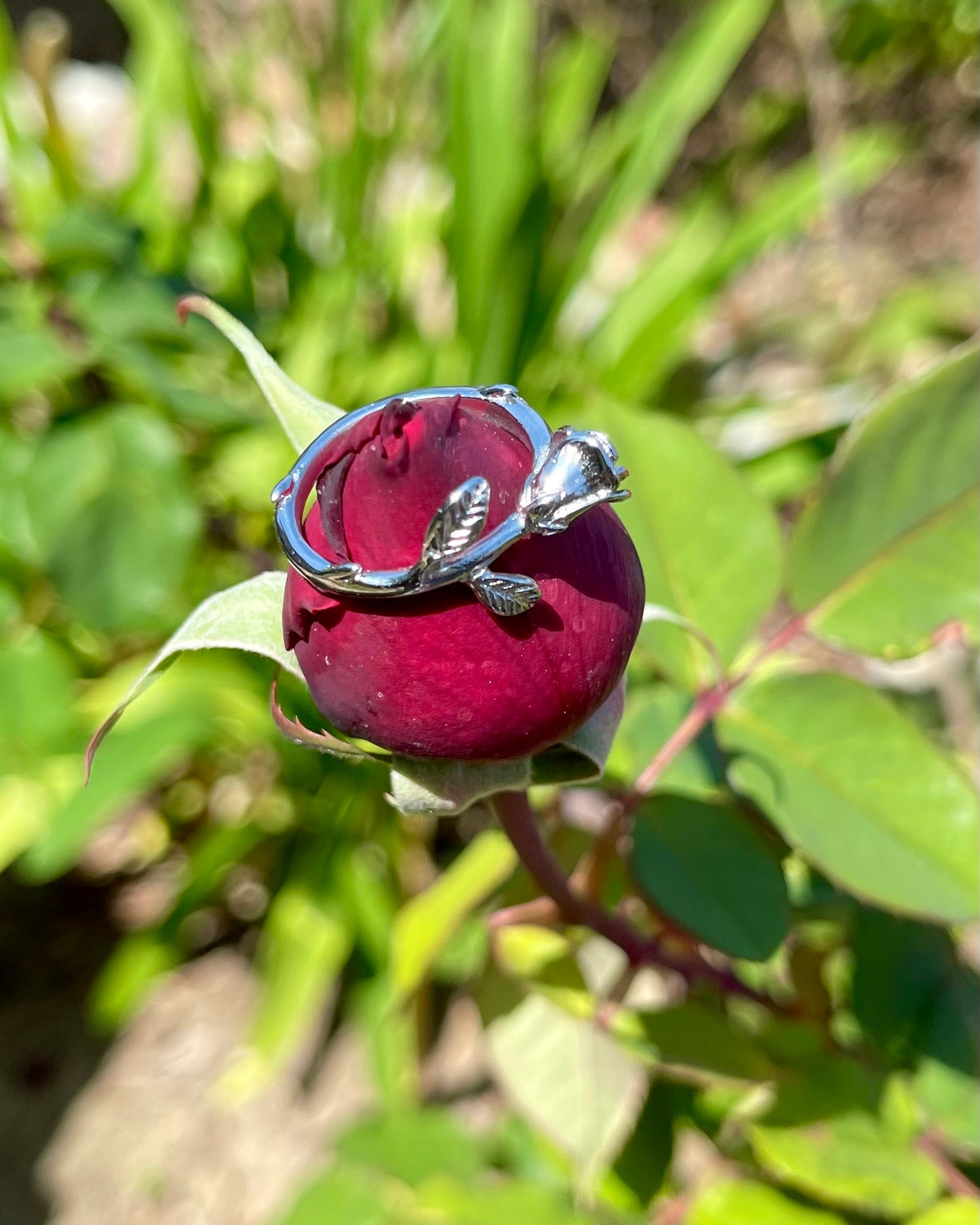 FRAGILE ROSE RING