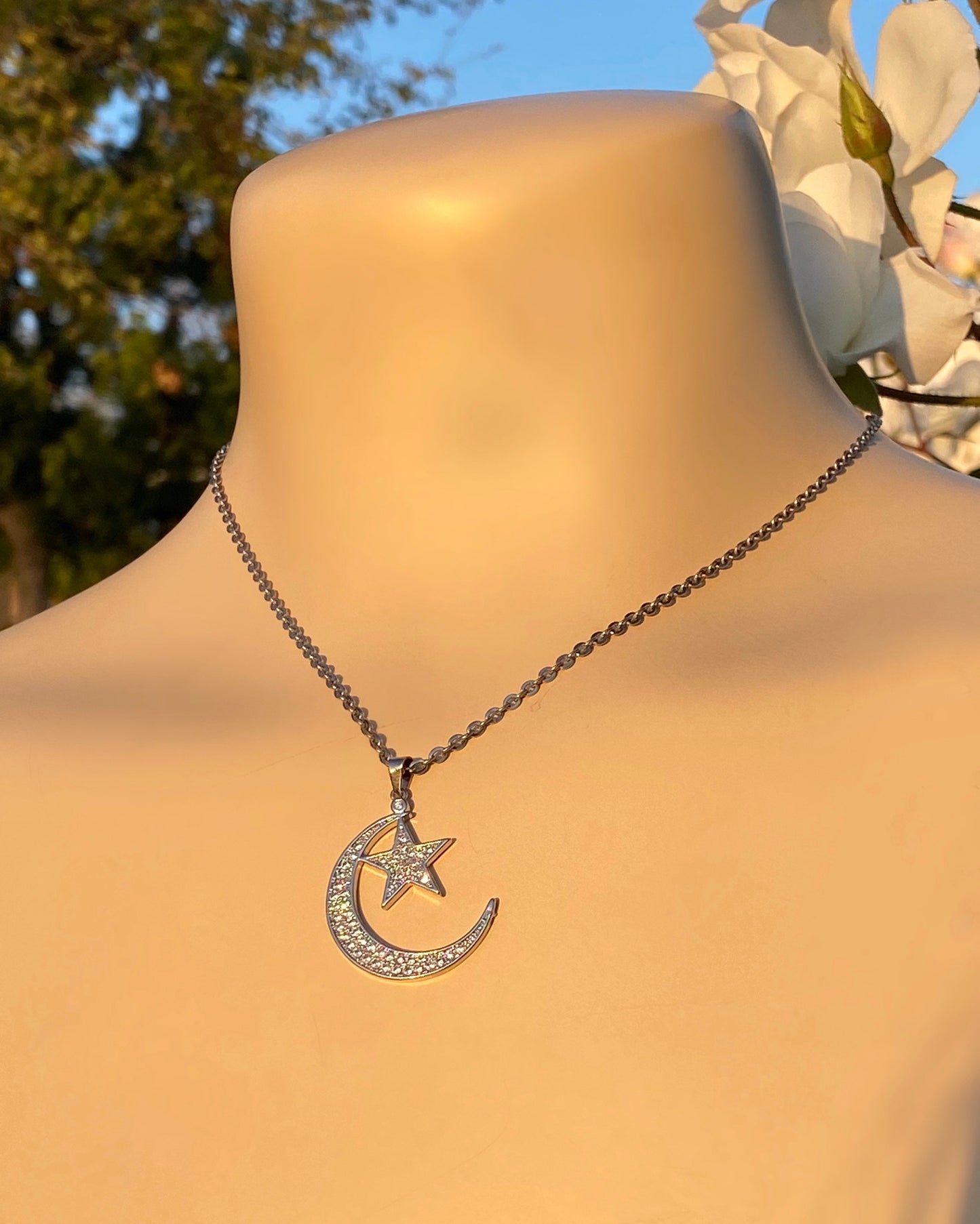 THE STAR GAZE NECKLACE