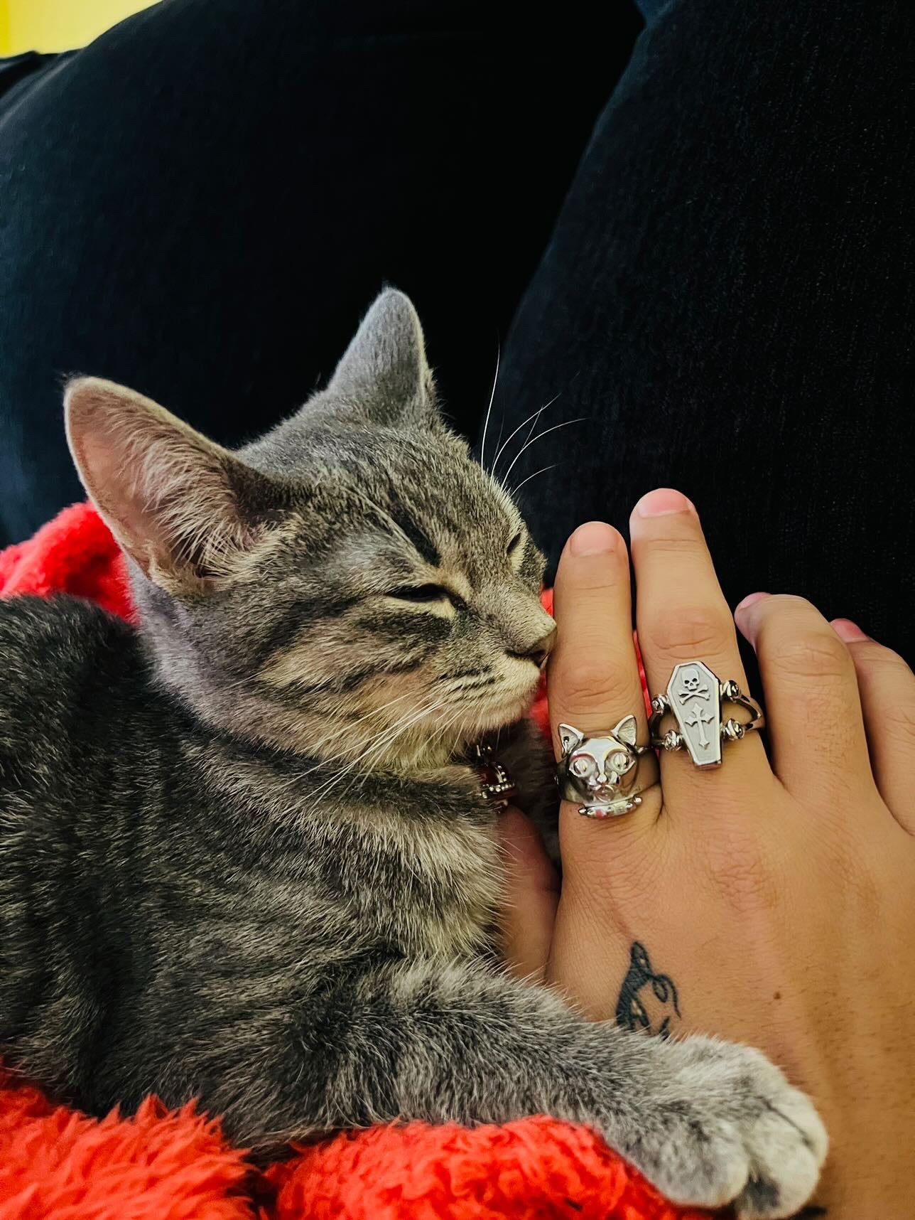 CYBER CAT RING