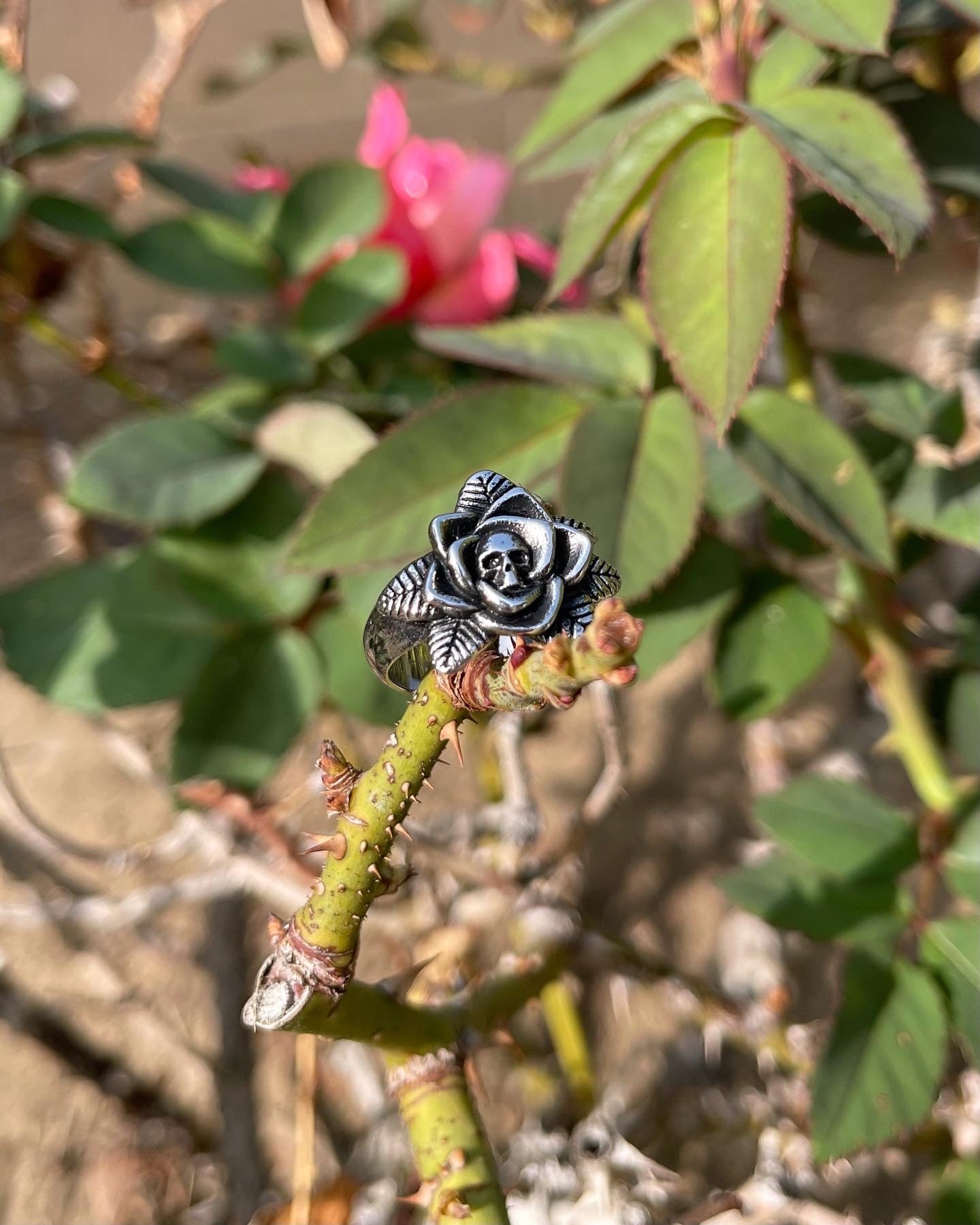 SKULL ROSE RING