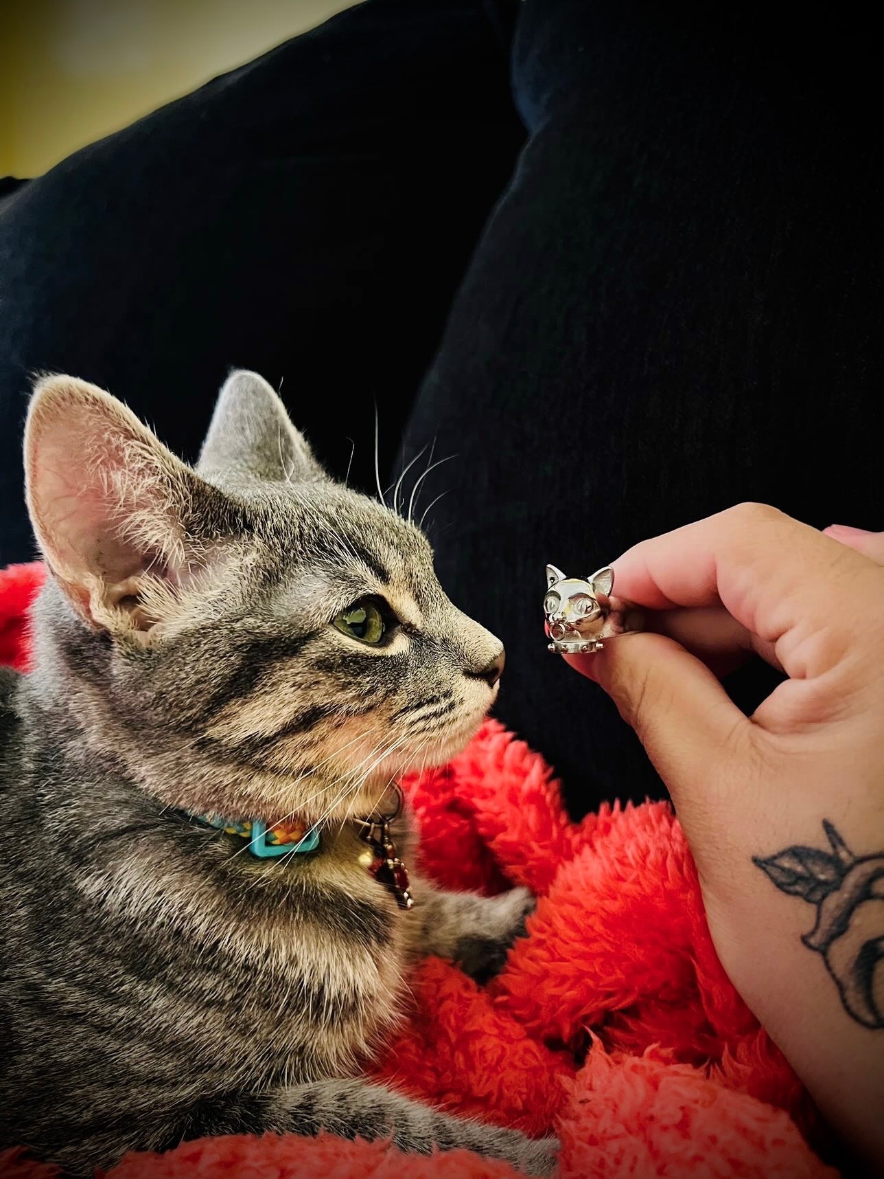 CYBER CAT RING